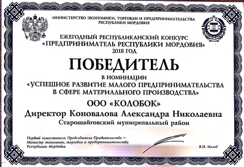 Диплом победителя в номинации за достижение наивысших результатов <br>в социально-экономическом развитии <br>Республики Мордовия в 2019 году