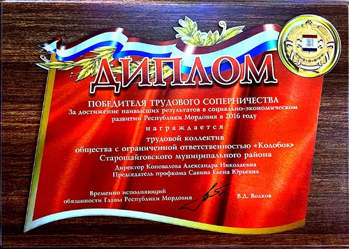 Диплом за достижение наивысших результатов <br>в социально-экономическом развитии <br>Республики Мордовия в 2016 году