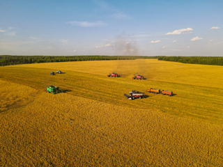 На наших полях завершается уборка зерновых культур